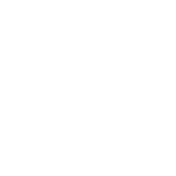 CV